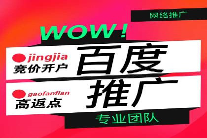 信息流代理案例分享：助力企业增长之道